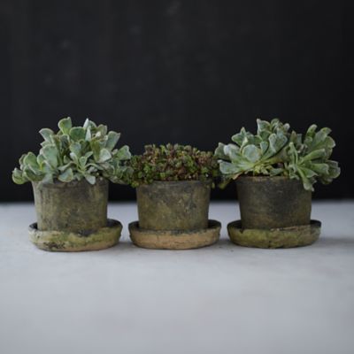 Earth Fired Clay Low Sill Pot + Saucer, Set of 3