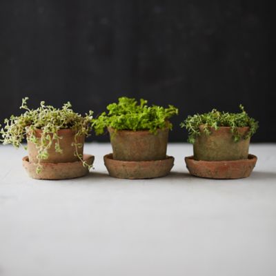 Earth Fired Clay Low Sill Pot + Saucer, Set of 3