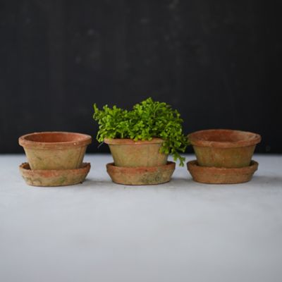 Tall Geo Terracotta Planter - Terrain