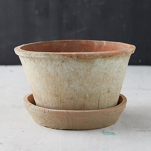 View larger image of Earth Fired Clay Thin Rim Pot + Saucer Set