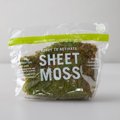 Preserved Sheet Moss