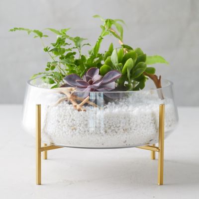 Bowl Terrarium, Brass Stand