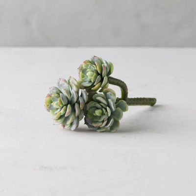 Faux Hens  Chicks Stem