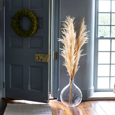 Dried Pampas Grass Stem Terrain