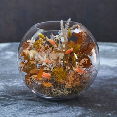 Fishbowl Terrarium