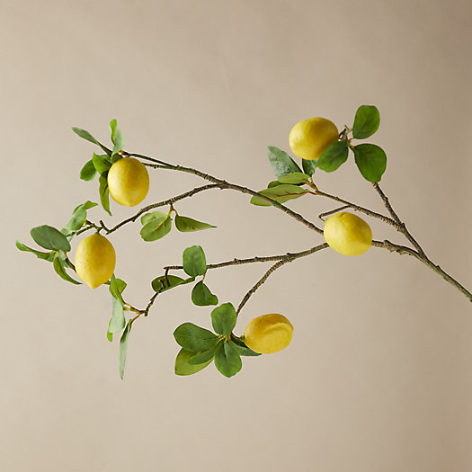View larger image of Faux Lemon Tree Branch