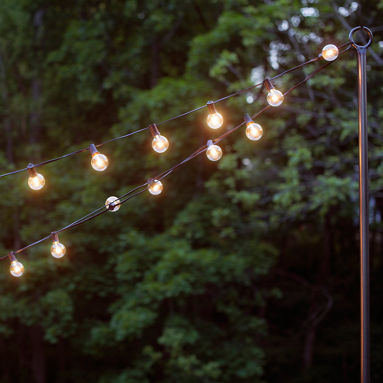 Skab klinge Preference Stargazer Garden Lights Classic Clear LED Bulbs, Set of 21 Bulbs Only -  Terrain