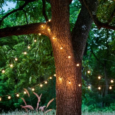 Stargazer Garden Lights Classic Clear LED Bulbs, Set of 21 Bulbs Only