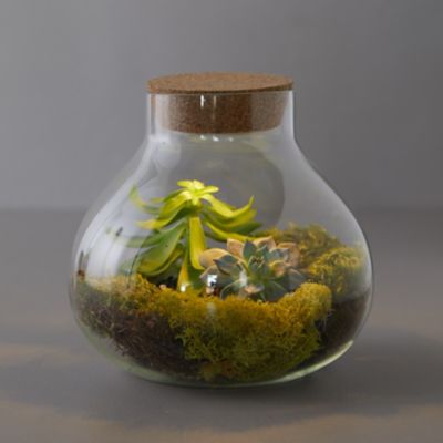 terrarium with led lights