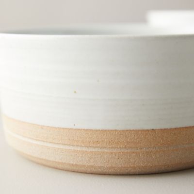 stoneware pet bowls