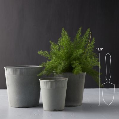 Galvanized Taper Pot