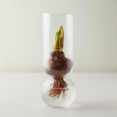 Tall Bulb Vase Terrain