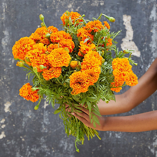 View larger image of Marigold Bouquet