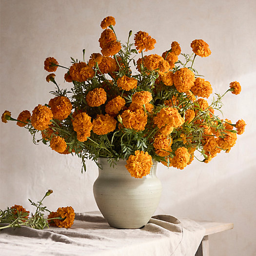 View larger image of Marigold Bunch