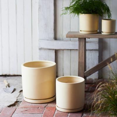 Porcelain Cylinder Pot + Saucer Set