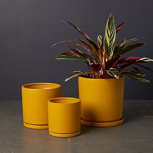View larger image of Porcelain Cylinder Pot + Saucer Set
