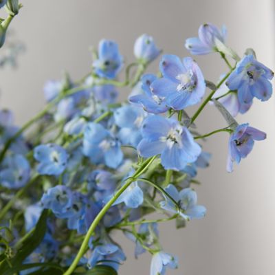 light blue delphinium bouquet