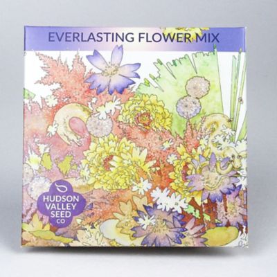 everlasting