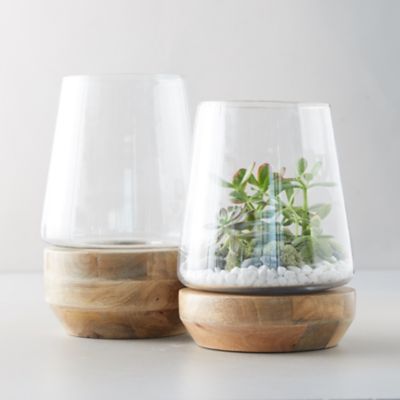 Terrarium Supplies to Make Your Own Terrarium