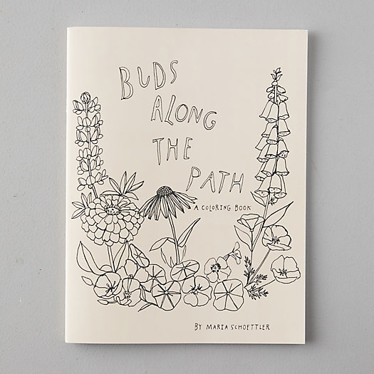 View larger image of Buds Along the Path Coloring Book