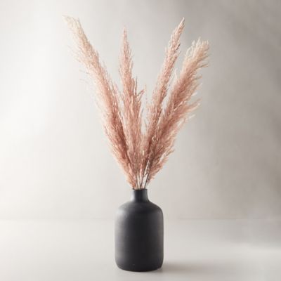 Preserved Pampas Grass, Black - Terrain