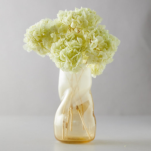 View larger image of Preserved Hydrangea Bunch