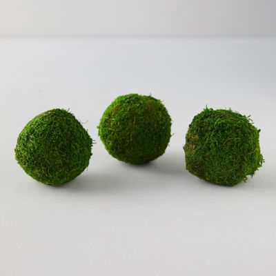 Natural Moss Balls, Set of 3 - Terrain