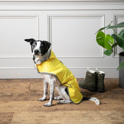 pendleton dog coat