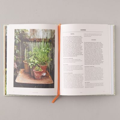 Grow Fruit and Vegetables in Pots - book from Terrain