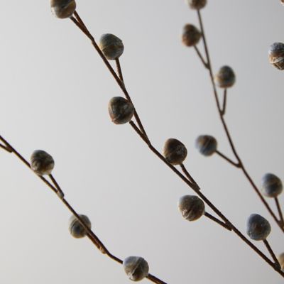 Iron Pussy Willow Stem - Terrain