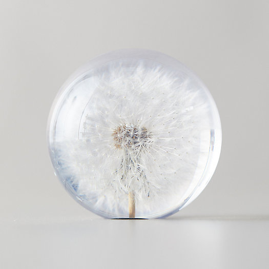 View larger image of Resin Floral Paperweight