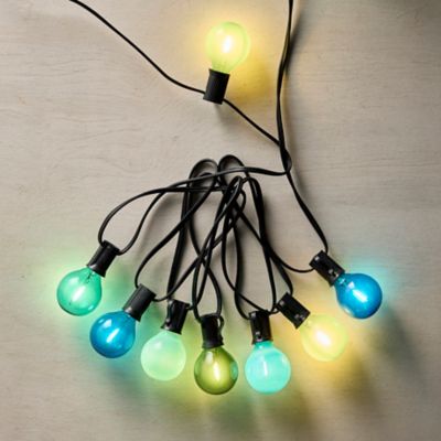 Holiday Lighting  String Lights, Lanterns + LED Lighting - Terrain