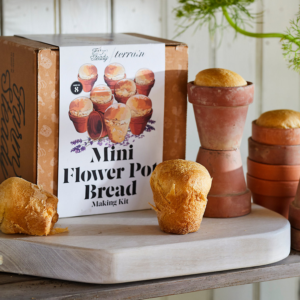 Mini Flower Pot Bread Kit, Set of 8 - Terrain