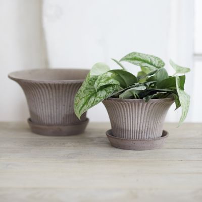 Large Outdoor Pots - Bergs Potter