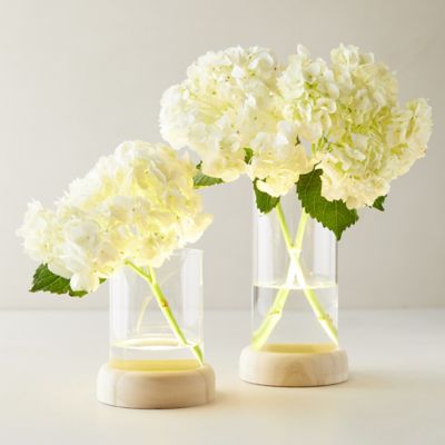 LED Vase on Wood Stand