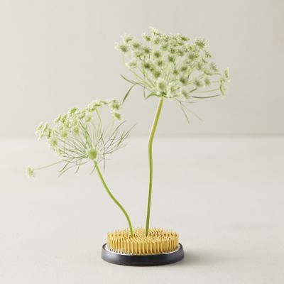 Round Ikebana Kenzan - 80 mm – Tierra Zen