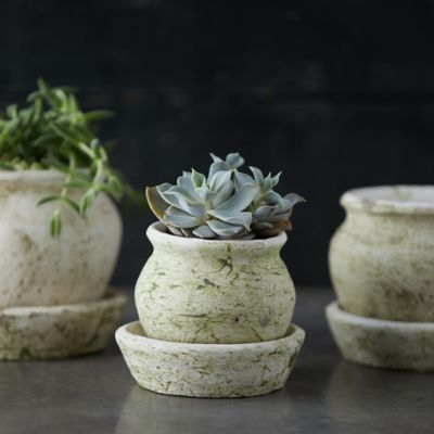 White Small Plant Pot Size M Set of 3 Ceramic Flower Planter for