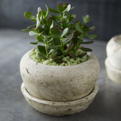 Tall Geo Terracotta Planter - Terrain