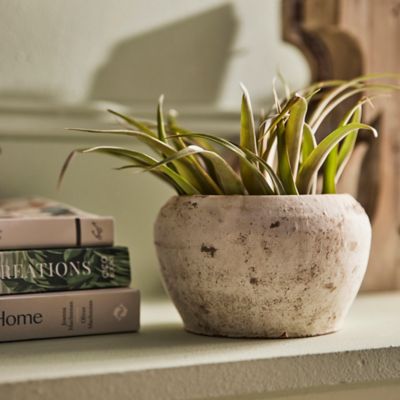 Earth Fired Clay White Curve Pots + Saucers, 2 Sizes Set