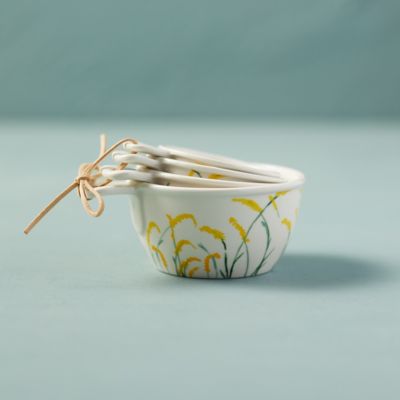 Goldenrod Ceramic Measuring Cups - Terrain