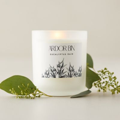 Ardor Bin Candle, Eucalyptus Rain