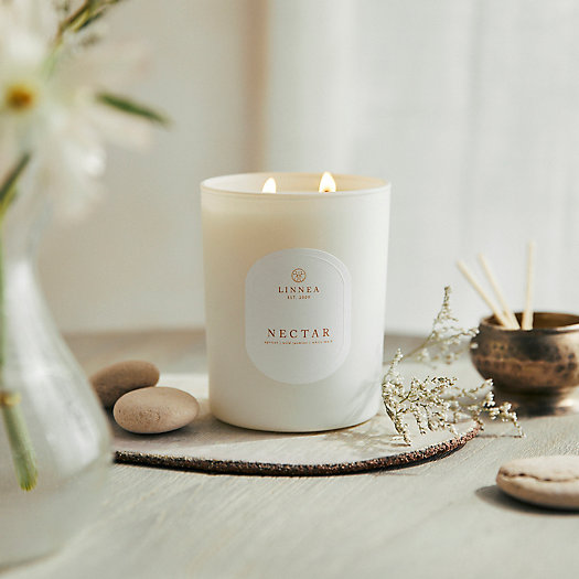 View larger image of Linnea Candle, Nectar