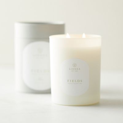 Linnea Sanded Glass Jar Candle Collection In Green At Terrain in 2023