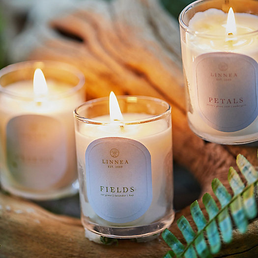 View larger image of Linnea Candle, Fields
