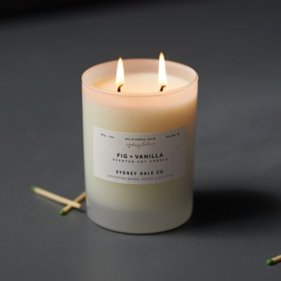 Scented Candles  Seasonal Candles, Diffusers + Home Fragrance - Terrain