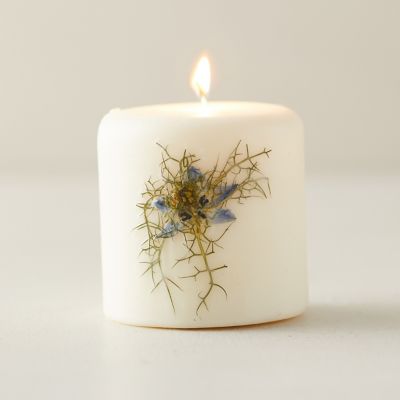 Botanical Pillar Candle, Beach Daisy