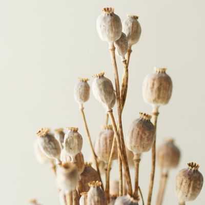 Dried Floral Bouquet Scatter