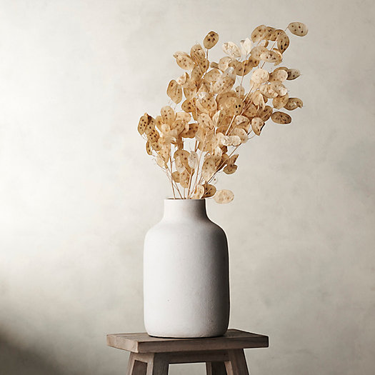 View larger image of Dried Lunaria Bunch