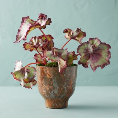Aged Metal Pot