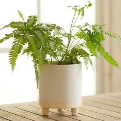 Ceramic Footed Pot, 6"